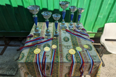 PXL_20230902_121327728