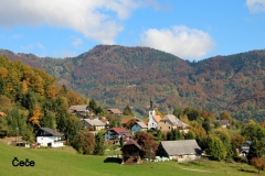 115-IMG_4430