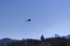 IMG_20220312_114410